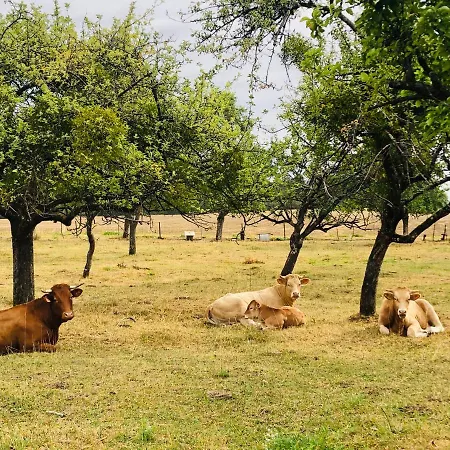 Bed & Breakfast Le Bleu Levant Vaux-Devant-Damloup