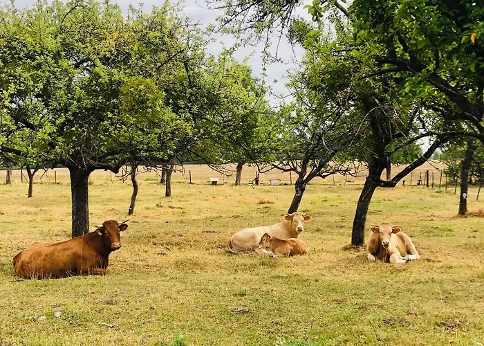 住宿加早餐酒店 Le Bleu Levant Vaux-Devant-Damloup
